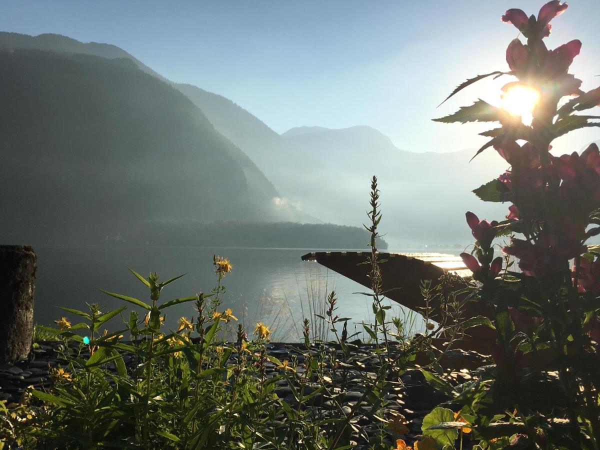Glueck Am See - Apartment Mit Seezugang Hallstatt Eksteriør bilde